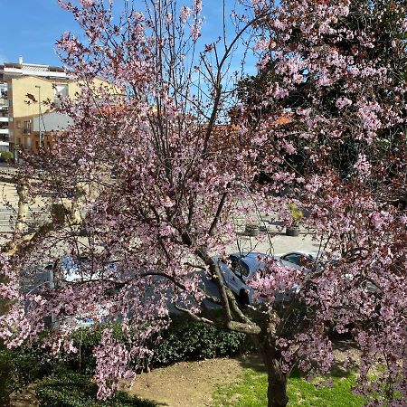 Apartamento Dacosta Plasence Extérieur photo
